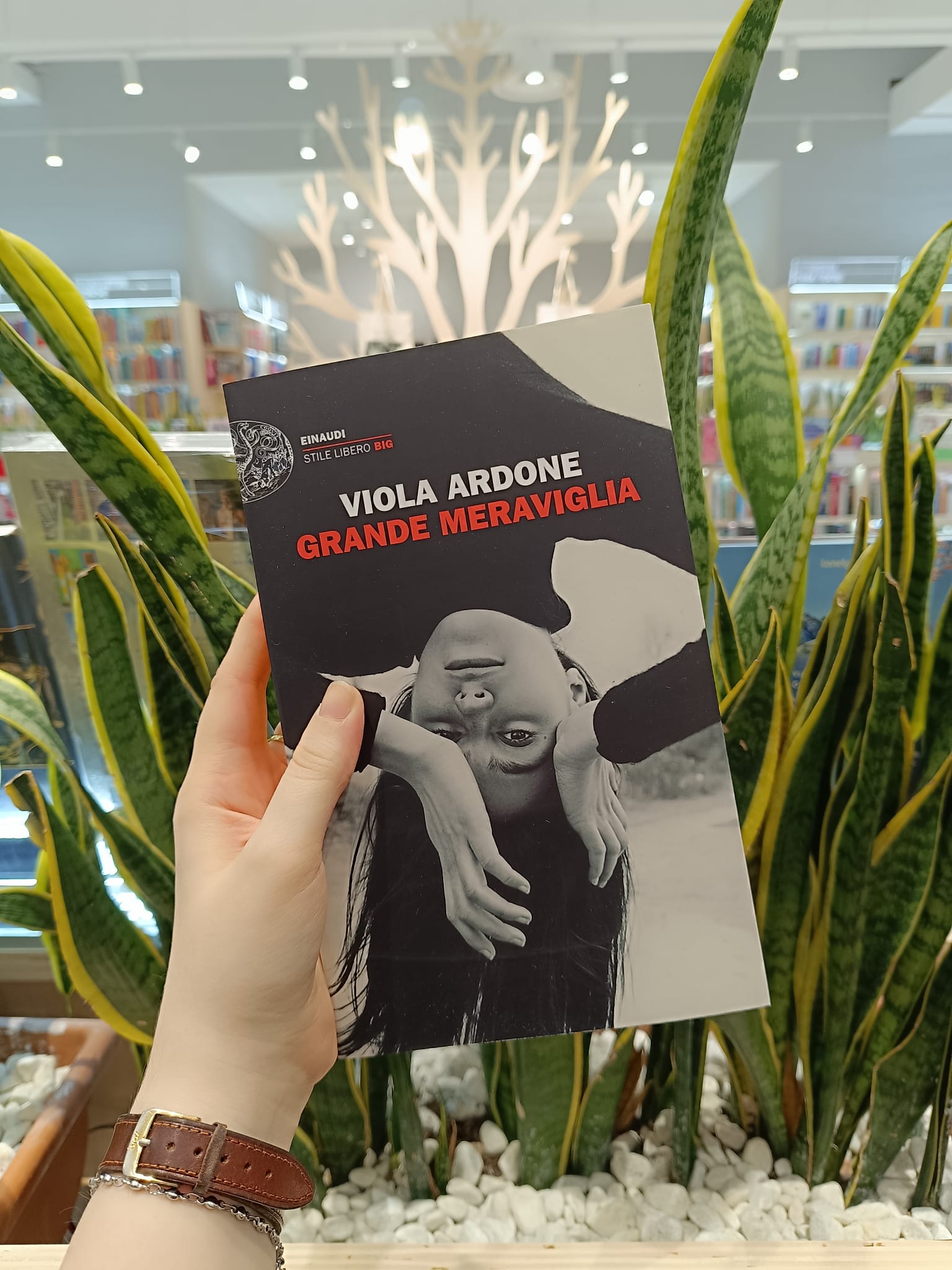 Grande meraviglia di Viola Ardone